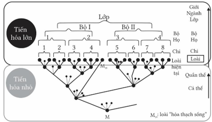 A diagram of a tree

AI-generated content may be incorrect.