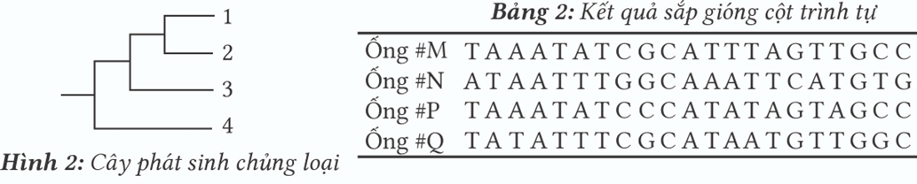 Một phòng thí nghiệm lưu giữ các mẫu ADN được tách chiết từ 4 loài động vật có vú (1,2,3,4) trong 4 ống riêng biệt (ảnh 1)
