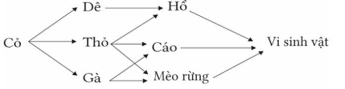 Khi tìm hiểu về lưới thức ăn dưới đây người ta đưa ra một số kết luận như sau: (ảnh 1)