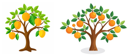 c) Cây cam bên phải có bao nhiêu quả? 	 (ảnh 1)