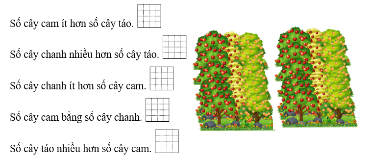 Đ – S? Vườn cây ăn quả nhà Hải có 86 cây cam, 95 cây táo và 65 cây chanh.  (ảnh 1)