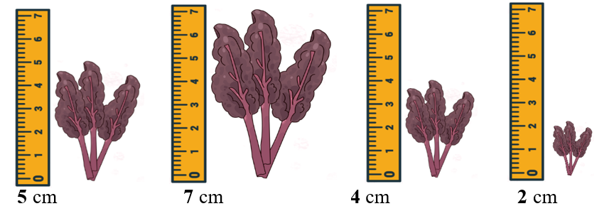 Số? tương ưng (ảnh 2)