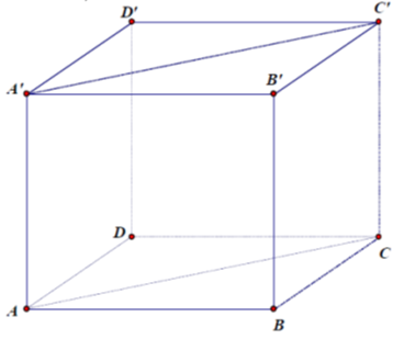Cho hình lập phương ABCD.A'BC'D'. Tính góc giữa mặt phẳng (ABCD) và (ACC'A'). (ảnh 1)
