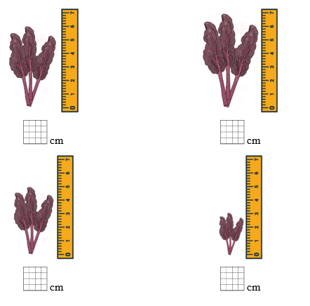 Điền số thích hợp (ảnh 1)