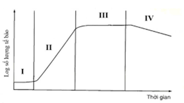 Hình ảnh sau đây mô tả đường cong sinh trưởng của quần thể vi khuẩn: (ảnh 1)