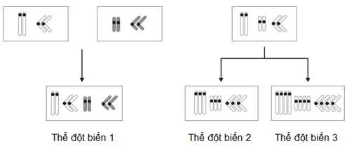 A diagram of a diagram

AI-generated content may be incorrect.