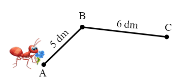 Một con kiến bò từ A đến C qua B (như hình vẽ). Vậy con kiến phải bò một đoạn đường dài: (ảnh 1)
