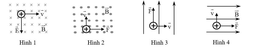 Trong hình vẽ sau, hình nào chỉ đúng hướng của lực từ tác dụng lên hạt mang điện dương chuyển động trong từ trường đều? (ảnh 1)