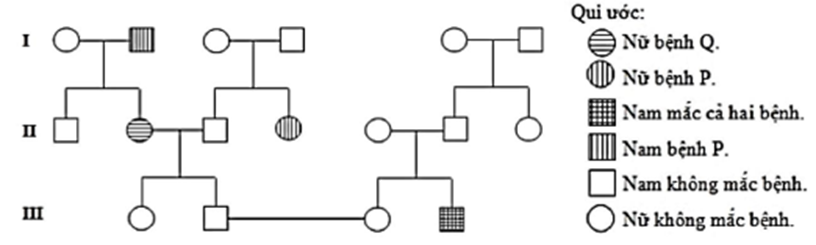 Phả hệ dưới đây mô phỏng sự di truyền của bệnh “P” và bệnh “Q” ở người. Hai bệnh này do hai allele lặn nằm trên hai cặp nhiễm sắc thể thường khác nhau gây ra. (ảnh 1)