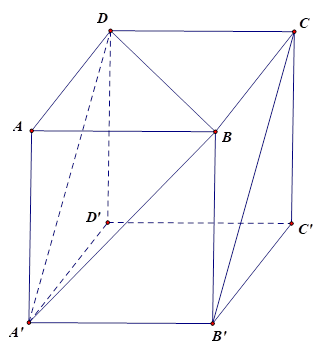 Cho hình lập phương ABCD.A'B'C'D', góc giữa hai đường thẳng A'B và B'C là (ảnh 1)