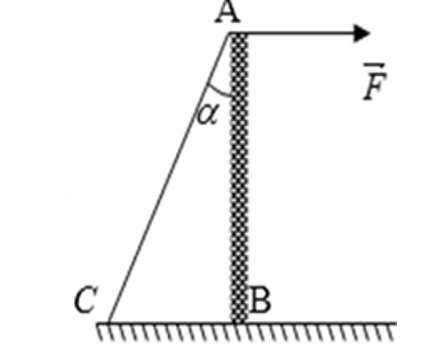 Một thanh nhẹ gắn vào sàn tại B. Tác dụng lên đầu A lực kéo F = 125N theo phương ngang. Thanh được giữ cân bằng nhờ dây AC. Biết α = 300. Tính lực căng dây AC? (ảnh 1)