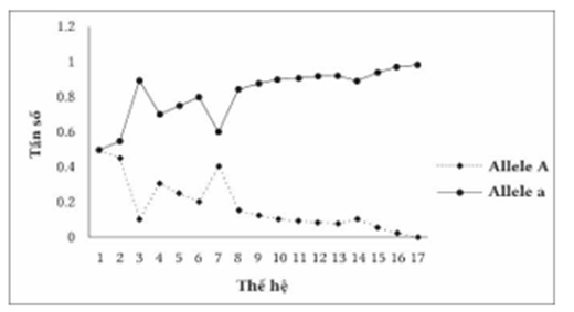Nghiên cứu biến động tần số các allele (A và a) của một gene ở một quần thể ruồi giấm qua các thế hệ, kết quả được biểu diễn trên đồ thị như sau: (ảnh 1)