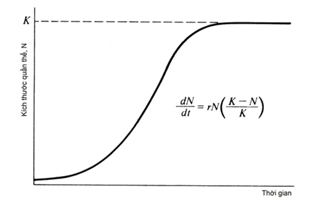 Từ biểu thức về sự tăng trưởng quần thể trong m&ocirc;i trường bị giới hạn ta thấy đồ thị c&oacute; dạng như sau: (ảnh 1)