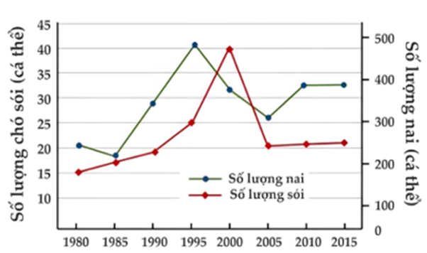 Quan hệ giữa các loài góp phần quan trọng đảm bo cần bằng sinh học của quần xã. Khi nghiên cứu biến động số lượng cá thể của quần thể nai và chó sói trên một hòn đảo từ năm 1980 đến năm 2015 (ảnh 1)