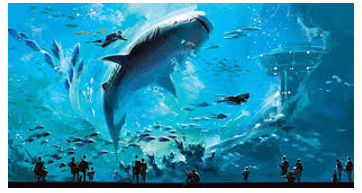 Cuối tuần trước, bố mẹ đưa hai chị em Linh đi chơi thủy cung. Bố Linh mua 2 vé người lớn và 2 vé trẻ (ảnh 1)