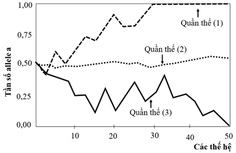 Hình bên mô tả sự biến đổi tần số allele a ở ba quần thể (1), (2), (3) của một loài chuột đang chịu tác động của yếu tố ngẫu nhiên qua các thế hệ (ảnh 1)
