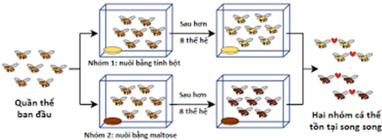 L&yacute; thuyết Qu&aacute; tr&igrave;nh h&igrave;nh th&agrave;nh Lo&agrave;i | Sinh học lớp 12 (ảnh 1)