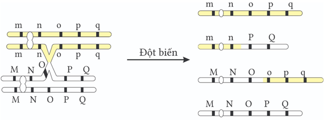 A diagram of a test tube

AI-generated content may be incorrect.