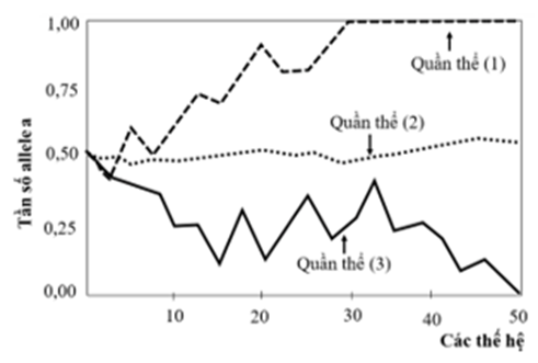Hình bên mô tả sự biến đổi tần số allele a ở ba quần thể (1), (2), (3) của một loài chuột đang chịu tác động của yếu tố ngẫu nhiên qua các thế hệ (ảnh 1)