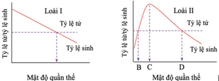 Hai đồ thị dưới đây mô tả mối quan hệ giữa tỷ lệ sinh, tỷ lệ tử vong và mật độ quần thể ở hai loài I và II. Nhận định nào sau đây đúng hay sai? (ảnh 1)
