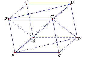 Cho hình hộp ABCD.A'BC'D'. Mặt phẳng AB'D' song song với mặt phẳng nào sau đây (ảnh 1)