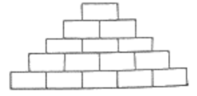 Một cửa hàng nhân dịp giáng sinh muốn trang trí quán cho đẹp nên quyết định thuê nhân công (ảnh 1)