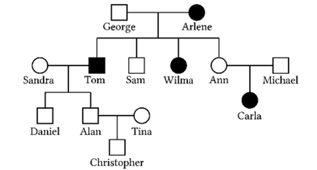 Phả hệ dưới đây ghi lại sự di truyền của bệnh alkaton niệu, một bệnh hoá sinh. Những người bị bệnh trên phả hệ, được đánh dấu bằng các vòng tròn hoặc ô vuông màu (ảnh 1)