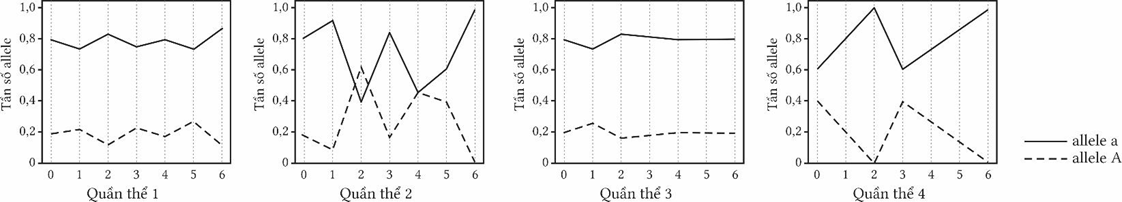 Hình bên mô tả sự biến đổi tần số allele a và allele A ở bốn quần thể, trong số 4 quần thể trên quần thể nào thành phần kiểu gene ít thay đổi nhất? (ảnh 1)