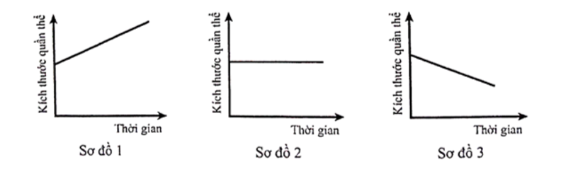 Ba sơ đồ dưới đây mô tả sự biến động của kích thước quần thể theo thời gian trong 3 trường hợp khác nhau (ảnh 1)