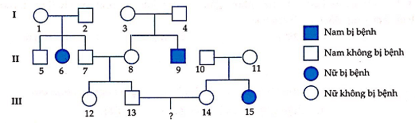 Sơ đồ phả hệ dưới đây mô tả sự di truyền bệnh M ở người do 1 trong 2 allele của một gene quy định. Biết rằng không phát sinh đột biến mới ở tất cả những người trong phả hệ. (ảnh 1)