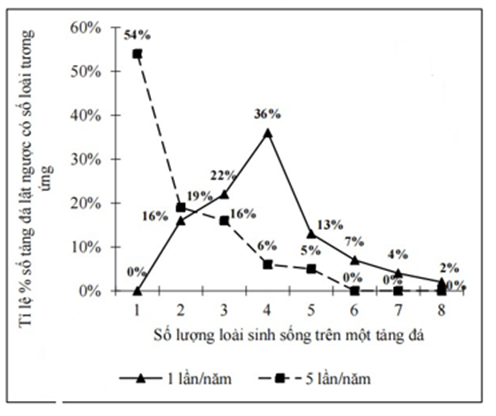Đa dạng loài có tương quan với độ giàu loài (số lượng loài) của quần xã. Ở một vùng ngập thủy triều ven biển, có các loài động vật không xương sống (ảnh 1)