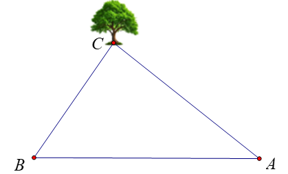 Để đo khoảng cách từ một điểm \(A\) trên bờ sông đến gốc cây \(C\) trên cù lao giữa (ảnh 1)