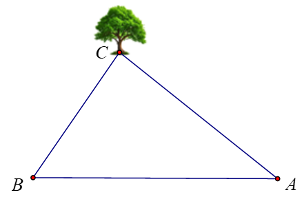 Để đo khoảng cách từ một điểm \(A\) trên bờ sông đến gốc cây \(C\) trên cù lao giữa sông, người ta (ảnh 1)