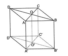 Cho hình hộp ABCD. A'B'C'D', gọi O, O' lần lượt là tâm của hai đáy ABCD (ảnh 1)