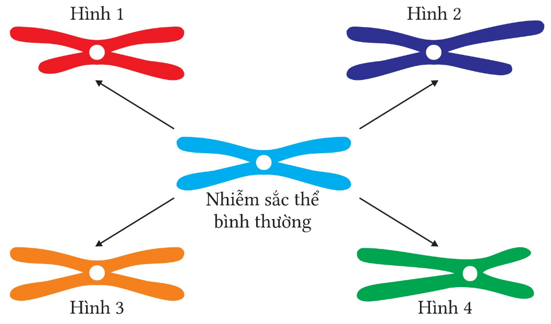 A diagram of a diagram of a diagram

AI-generated content may be incorrect.