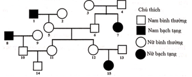 Sơ đồ phả hệ mô tả sự di truyền một bệnh ở người, bệnh bạch tạng do allele lặn nằm trên NST thường quy định, allele trội tương ứng quy định kiểu hình bình thường  (ảnh 1)