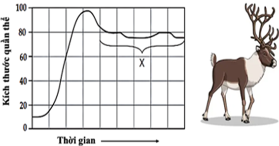Tại một hòn đảo, người ta thả vào đó 5 cặp hươu khỏe mạnh và theo dõi sự phát triển của quần thể này, người ta lập được đồ thị như hình (ảnh 1)