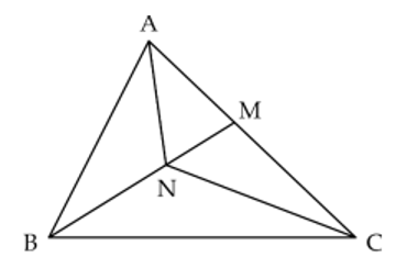 Cho tam giác ABC có điểm M trên cạnh AC và điểm N trên cạnh BM. (ảnh 1)