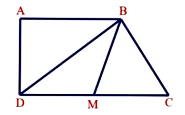 Cho hình thang vuông ABCD, có đáy bé AB = 20 cm, chiều cao AD = 15 cm, (ảnh 1)