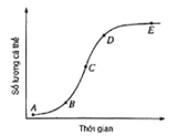 Đường cong tăng trưởng của một quần thể sinh vật được biểu diễn ở hình bên dưới. (ảnh 1)