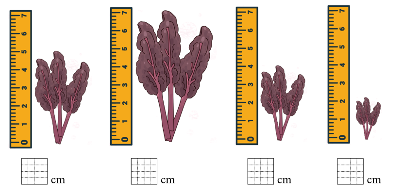 Số? tương ưng (ảnh 1)