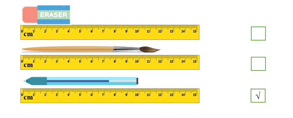 Đánh dấu √ vào ô trống chỉ đồ vật có độ dài 1 dm: (ảnh 1)