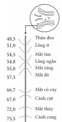 A graph of numbers and a circle
AI-generated content may be incorrect.