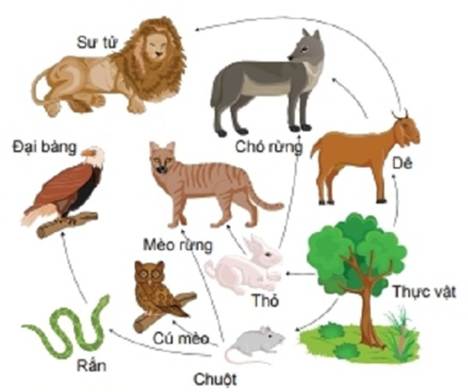 A group of animals with text
AI-generated content may be incorrect.