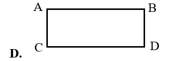 Hình nào dưới đây là đường thẳng? (ảnh 5)