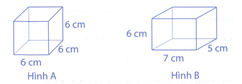 Đúng ghi Đ, sai ghi S vào ô trống: (ảnh 1)