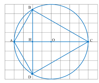 Điền vào chỗ trống thích hợp: (ảnh 2)