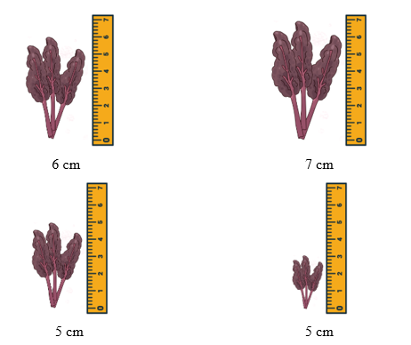 Điền số thích hợp (ảnh 2)
