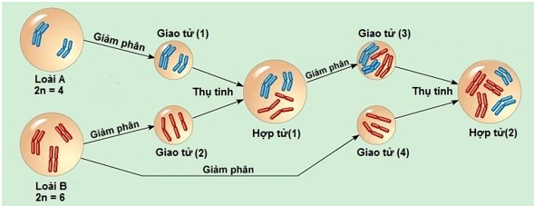 A diagram of a cell

AI-generated content may be incorrect.
