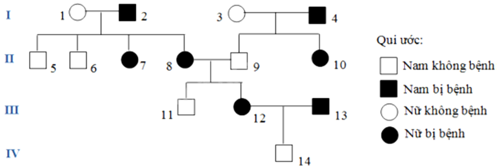 Cho sơ đồ phả hệ mô tả sự di truyền một bệnh ở người do một trong hai allele của một gen quy định, allele trội là trội hoàn toàn. Xét các phát biểu sau đây là đúng hay sai? (ảnh 1)